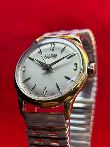 Vintage roamer popular - vintage,