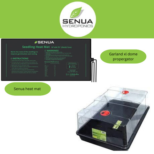 Senua propagation garland kit - propagation,