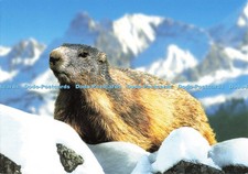 D139454 La Montagne La