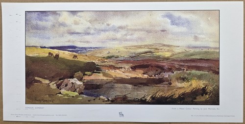 Exmoor somerset repro - exmoor, br