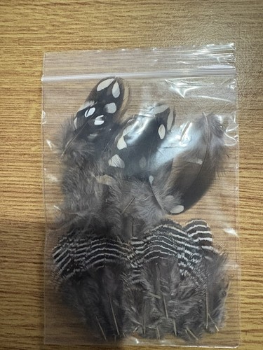 Francolin feathers mixed - francolin, pack