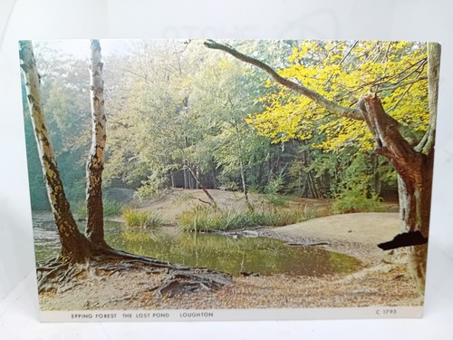 The lost pond epping forest - epping,