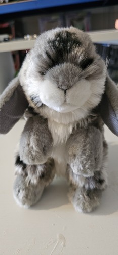 Living nature lop eared - nature,