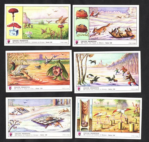 Primitive animal bird traps - primitive, &