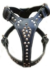 Beautiful Studded Black