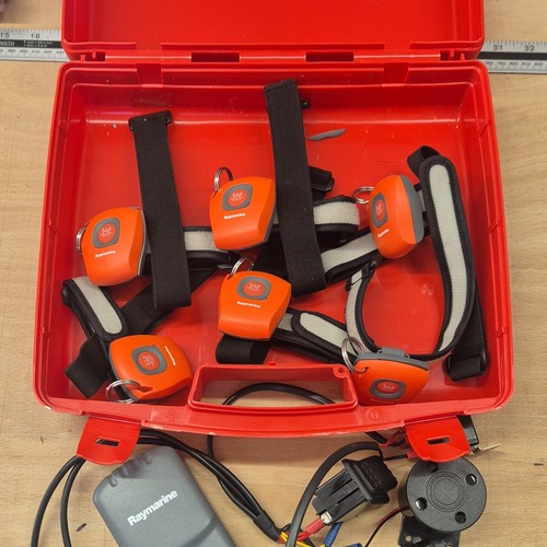 Raymarine lifetag mob - raymarine,