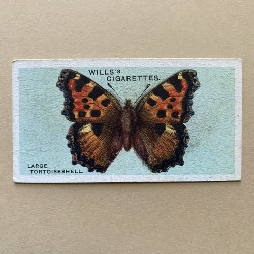 British butterflies large - british,