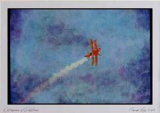 010091 Pitts Special, Flying