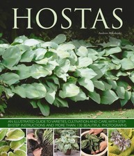 Hostas by Andrew Mikolajski