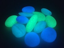 12pcs Glow in the Dark MIXED