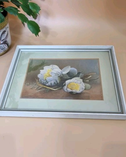 Watercolour painting floral - watercolour,