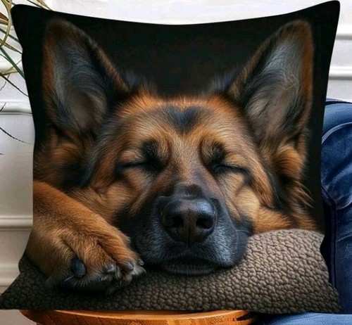 German shepherd puppy dog - shepherd,