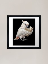 Funny Red-vented Cockatoo