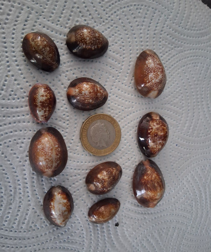 Lot natural polished - lot, 10