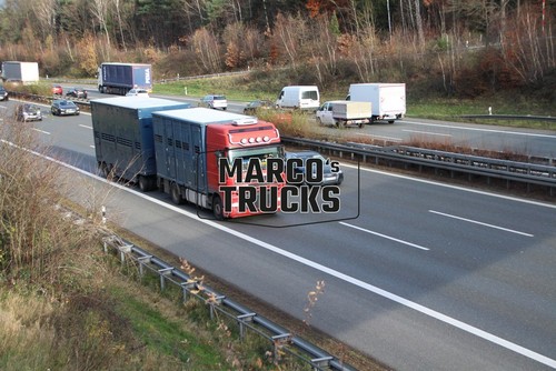 Truck photo daf livestock - truck,