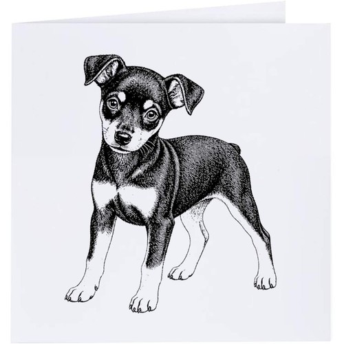 Miniature pinscher puppy - pinscher, puppy'