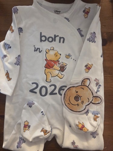 Disney winnie the pooh born - winnie,