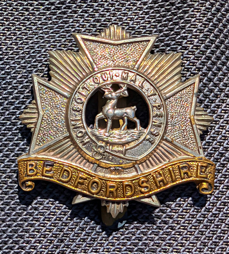 Bedfordshire regiment british - regiment,
