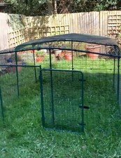 Omlet chicken/Rabbit Run