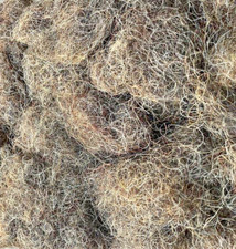 Horse & Hog Hair for