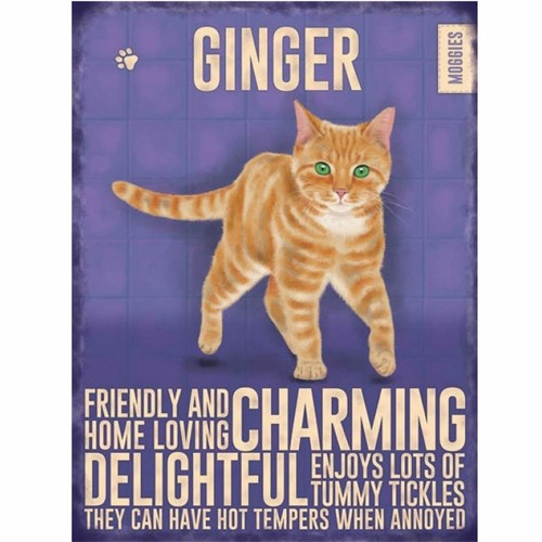 Ginger cat metal - , wall
