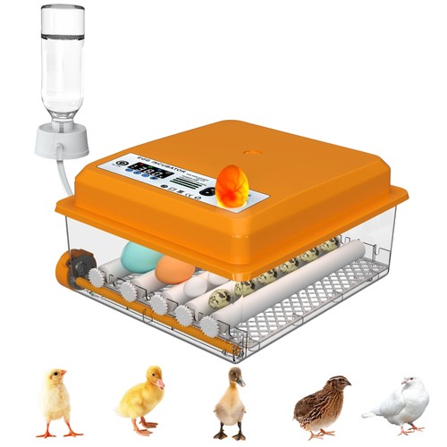 Egg automatic incubator - 16,