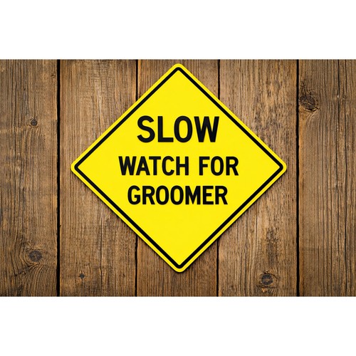 Minnesota dnr slow watch - slow, for
