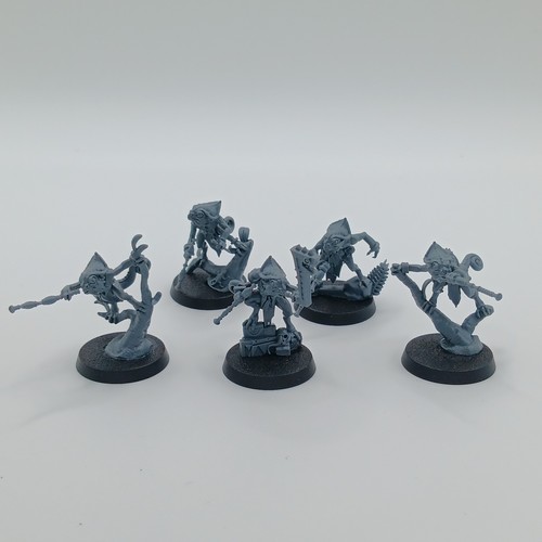 Hunters huanchi seraphon - of,