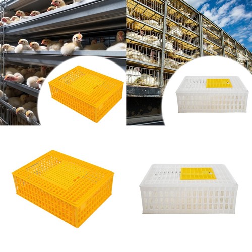 Poultry carrier crate - poultry,