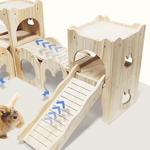 Rabbit ramp climbing - rabbit,