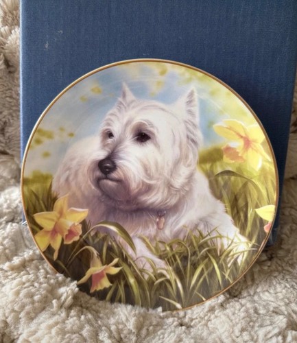 Danbury mint collectors plate - collectors,