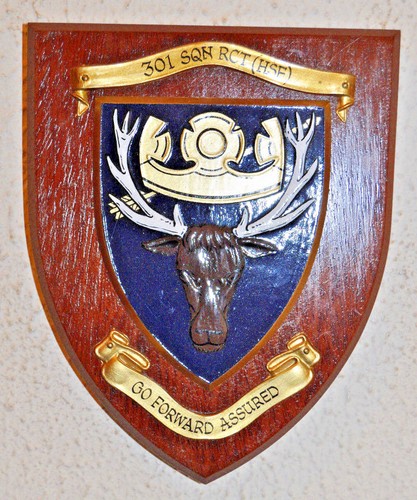 301 squadron royal - corps, of