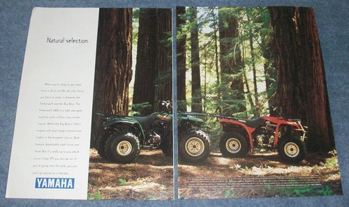 1996 yamaha timberwolf big - 1996,