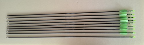 Easton ace arrows 620 - 9,