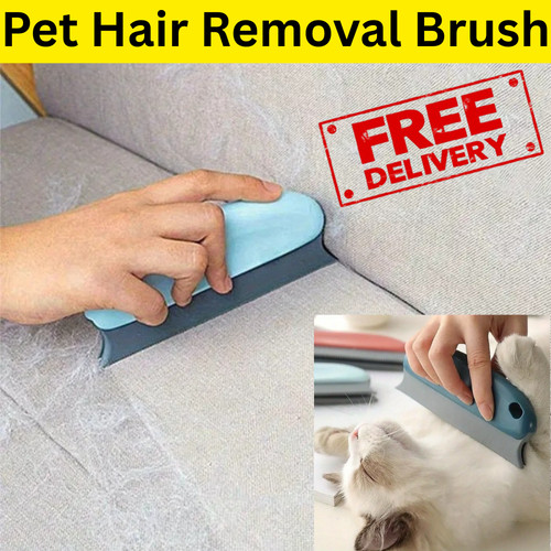 Pet hair cleaning - brush, dog