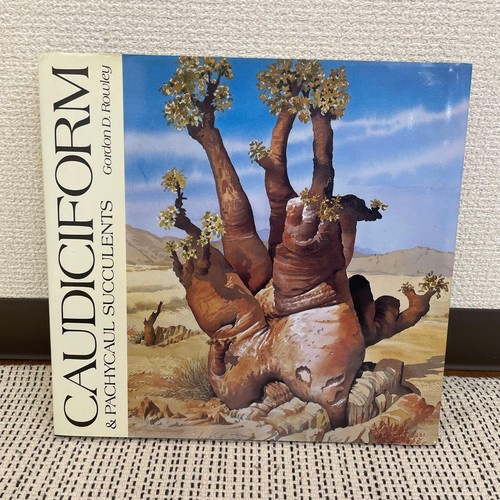 Caudiciform and pachycaul - caudiciform,