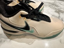 New NIKE ZOOM LEBRON NEXT GEN