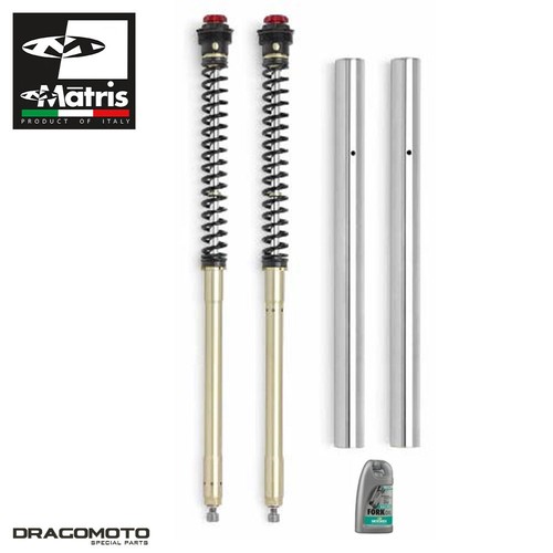 Fork kit aprilia - rs, 125