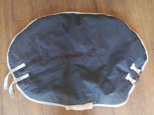 Navy blue foal - turnout, neck