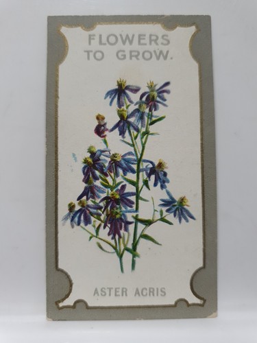 Lea cigarette card - r, lea's