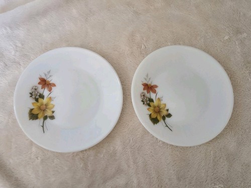Jaj pyrex autumn - , x