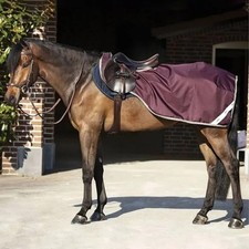 Horseware Amigo Ripstop Competition Waterproof Exercise Sheet - Fig Purple XL
