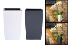 Small Plant Pots Modern Decor