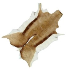 NEW South African Springbok Animal Hide Rug Skin Rug Mat Floor Natural Colour