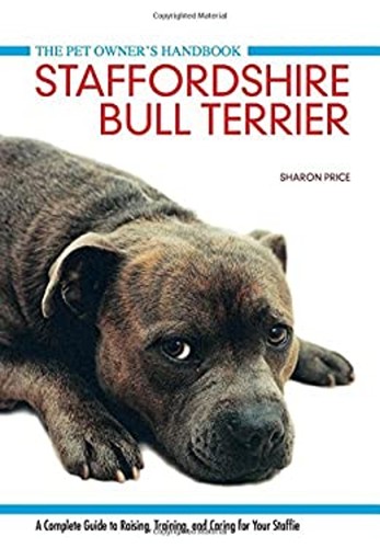 Staffordshire bull terrier - bull,