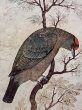 Framed Fine Art Print, A