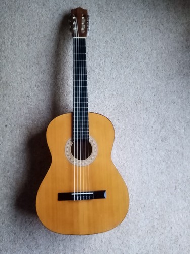 Hohner acoustic model 05 - acoustic,