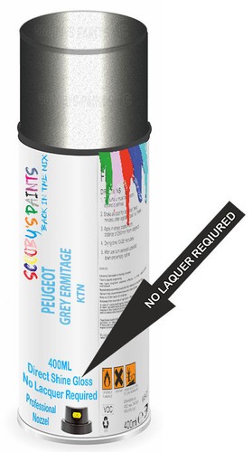 Aerosol spray paint for - spray,