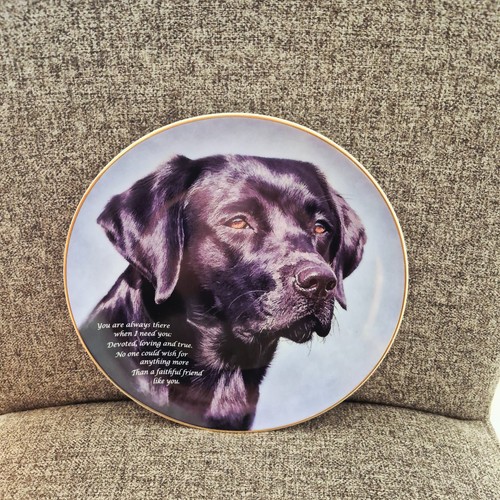 Black labrador plate - labrador,