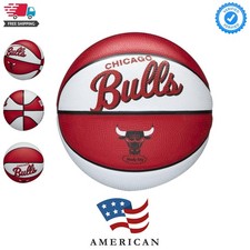 NBA Team Retro Mini
